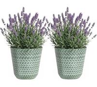 SG Traders Nantucket Plant Pot - Flower Planters Outdoor, Large Garden Pots Elegant Design, Versatile for Your Outdoor Space, Enhance Your Garden (Pack of 2)