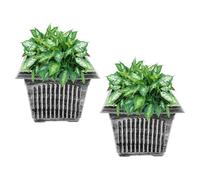 SG Traders Plant Pot, Large Square Plastic Planter for Garden, Flower Pots with Drainage Holes for Indoor and Outdoor, Container for Houseplants, Blackish Silver & Gold wash,26cm,31cm,34cm(Pack of 2)