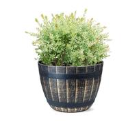 SG Traders Round Plastic Barrel Tub Planter - Garden Plant Pot Flower Pots - Lightweight Unique Design - Half Barrel Cask Planters - Pack of 1