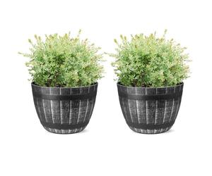 SG Traders Round Plastic Barrel Tub Planter Garden Plant Pot Flower Pots Whiskey Barrels Plant pots lightweight Unique Design Garden planter Premium Half Barrel Cask Planters - pack of 1