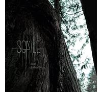 Sgàile - Ideals & Morality