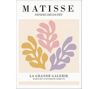 SGFGAD FHYWQ Henri Matisse Plants Poster Color Prints Abstract Wall Art Picture《Coral Paper Cut》Henri Matisse Canvas Painting For Home Decor 40x60cm Unframed
