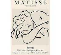 SGFGAD FHYWQ Henri Matisse Portrait Poster Color Line Prints Abstract Wall Art Picture《Sleeping Lady》Henri Matisse Canvas Painting For Home Decor 40x60cm Unframed