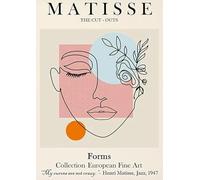 SGFGAD FHYWQ Henri Matisse Poster Color Line Prints Abstract Wall Art Picture《Avatar of a Woman》Henri Matisse Canvas Painting For Home Decor 40x60cm Unframed
