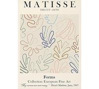 SGFGAD FHYWQ Henri Matisse Poster Color Line Prints Abstract Wall Art Picture《Plants Paper Cutting》Henri Matisse Canvas Painting For Home Decor 40x60cm Unframed