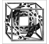 SGFGAD FHYWQ M.C Escher Vision Poster Thinking Prints Abstract Wall Art Picture《Cube with Magic Ribbons》M.C Escher Canvas Painting For Home Decor 50x50cm Unframed