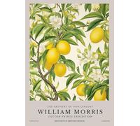SGFGAD FHYWQ William Morris Plant Poster Color Prints Abstract Wall Art Pictrure《Lemon Tree》William Morris Canvas Painting For Home Decor 50x60cm Unframed