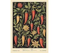 SGFGAD FHYWQ William Morris Poster and Prints Modern Wall Art Picture《Still Life Chili Peppers》William Morris Canvas Painting For Parlor Decor 50x70cm Unframed