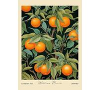 SGFGAD FHYWQ William Morris Poster Fruits Prints Modern Wall Art Picture《Still Life Oranges》William Morris Canvas Painting For Parlor Decor 50x70cm Unframed