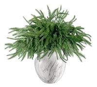 Sggvecsy 10 Pcs Christmas Norfolk Pine Branches Artificial Christmas Branches Faux Christmas Greenery Norfolk Pine Stems Christmas Cedar Stems for Xmas Home DIY Crafts Garland Indoor Outdoor Decor