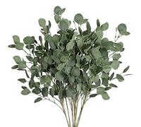 Sggvecsy 6 Pcs Eucalyptus Leaves Artificial Eucalyptus Stems Long Silver Dollar Leaves Faux Leaf Branches Fake Silk Eucalyptus for Spring Summer Home Festival Thanksgiving Christmas Decor (Green)