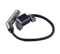 SGHFUVE CDI Module Ignitor For 21A807 21A902 21A907 21A977 21B707 Engine 595304 795315 799650 592841 Ignition Coil