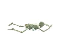 Sghtil Skeleton Toy | Halloween Skeleton Figure Clockwork Toys - Decorative Figurines Skull Decor for Home Shelf Party Boys Girls Children Adults Collector Birthday