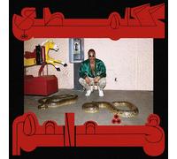 Shabazz Palaces - Robed In Rareness