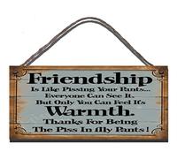 Shabby Chic Wooden Funny Sign Wall Plaque Friendship Is Like Pissing Your Pants
