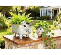 ShabbyDecor Galvanized Metal Rectangular Pig Tray Set of 2, Big and Small