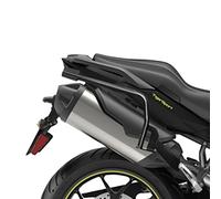 3P Side Case Carrier
