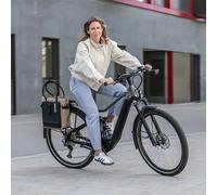Shad Daily Tote Bag 16l Pannier One Size Rome Stone
