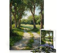 Shaded Path 1000 Piece Jigsaw Puzzles for Adults Mental Logic Toy Tension Relief Firm Cut Perfect Present 38x26cm