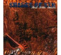 Shades Of Sin - Rust From Inside