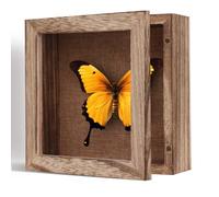 Shadow Box Frame, 5x5 in, Solid Wood Burnt Finish, Magnetic Door, Linen Interior, for Baby Memory Box, CD Frame Display Case, Seashell Display Box, Pet Memorial Shadow Box (Small)