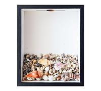 Shadow Box With Slot On Top，8.5"x10.5"Seashell Display Box, Seashell Holder Display Box，, shell display box, shell storage box display cabinet decorated with shells and starfish ornaments, black.