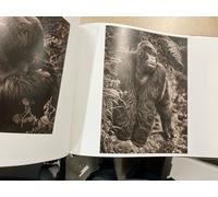 Shadow Falls, A: Nick Brandt