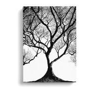 Shadow Of A Tree No.1 Canvas Print | Gallery Wrapped 30mm Frame Wall Art | 30x20 inches | Ready to Hang | Modern Landscape Picture | Living Room Bedroom Lounge Office