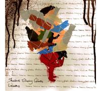 Shadows Chasing Ghosts - Lessons