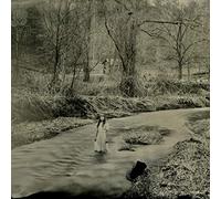 Shadows In The Shallows