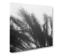 Shadows of the Palm Tree Modern Canvas Wall Art Print Ready to Hang, Framed Picture for Living Room Bedroom Home Office Décor, 14x14 Inch (35x35 cm)