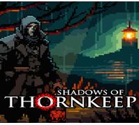 Shadows Of Thornkeep PC Steam CD Key
