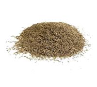 Shady Area Lawn 5kg Seed Grass Shade (Covers 100 Square metres)