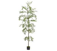 Shady Lady Faux Tree 7ft For Home Décor (Black Olive Tree) 84inches Realistic Fake Potted Plants With Moss Indoor Bucida Buceras 2.1M Artificial Tall Trees With Natural Wood Trunk Housewarming Outdoor