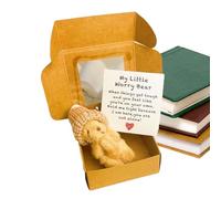 Shaersu Bear in Box - Plush Bear - Handmade Little Animal Pocket Toy with Inspirational Card for Children Baby Shower Christmas Valentine's Day