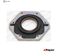 SHAFT SEAL CRANKSHAFT NF885 FOR 8140.43/23.2585/43.2585/63/63.2585/43K/23 2.8L