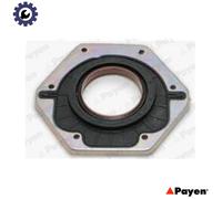 SHAFT SEAL CRANKSHAFT NF885 FOR 8140.43/23.2585/43.2585/63/63.2585/43K/23 2.8L
