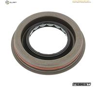 FEBEST KIT-BZ163R Shaft Seal, differential