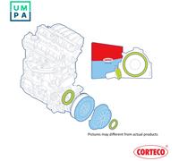SHAFT SEAL SET CLUTCH 19135426 FOR MERCEDES-BENZ SPRINTER/3-t/Van/Bus/4-t 2.3L