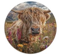 Shaggy Highland Cattle Rätsel Für Erwachsene |Fields of Scotland| 1000pcs (67.5x67.5cm) Puzzles Lernspiele Home Decor Puzzles