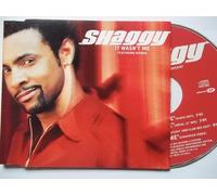 Shaggy - It Wasn't Me / Dance & Shout