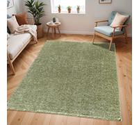 Shaggy Solid Color Plush Pile Mustard CLAIRE Area Rug Livabliss Green 160cm x 215cm