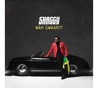 Shaggy Wah Gwaan? (Vinyl) 12" Album Coloured Vinyl