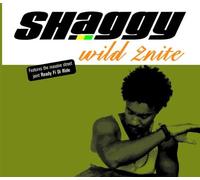 Shaggy - Wild 2nite