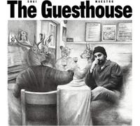 Shai Maestro - The Guesthouse