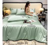 SHAIRMB Summer Simple Ice Silk Quilt, Washable Ice Silk Simple Air Conditioning Comfoter Quilt Blanket, Blanket Air Conditioning Quilts for Sleeping, for All Ages and Skin Types,H,150x200cm