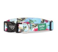 Shaka's Salty Paws Boy & Girl Dog Collar Small Medium Large (Medium Dog Collar Adj. 14-20" for Dogs 25-50 lbs, Turtles Dog Collar D. Friel)
