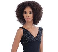 Shake N Go Freetress Equal Lace Front Synthetic Flemmie Wig 1