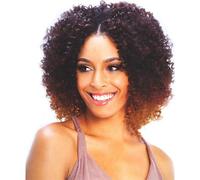 Shake N Go Freetress Weave Synthetic Bohemian Grove 1