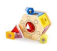 Shake n Match Shape Sorter